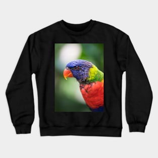 Parrot Crewneck Sweatshirt